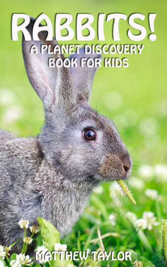 Rabbits!