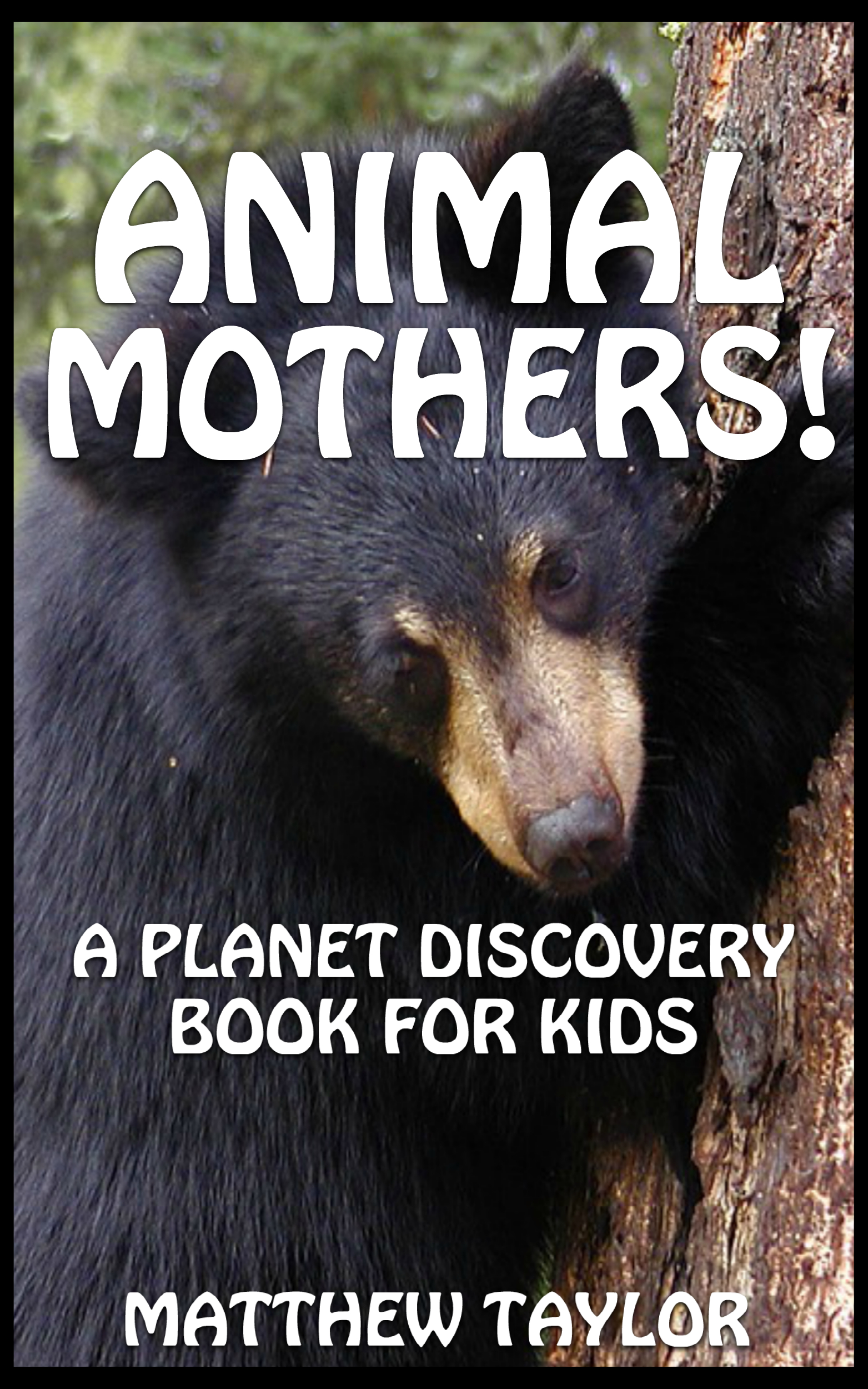 Animal Mothers! – Author Caren Cantrell | Children's Author | Writer