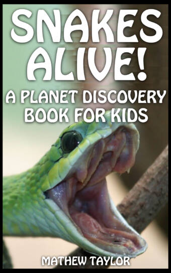Snakes Alive!